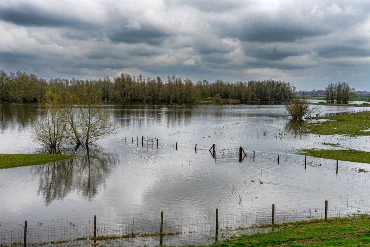 A flooded field with fence posts standing in storm water under a heavy sky