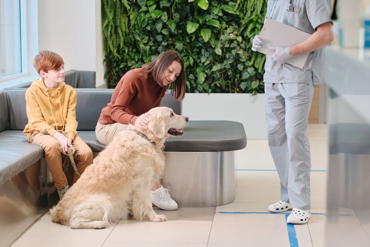 A family with their golden retriever at a veterinary clinic